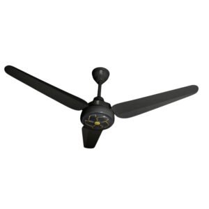 Wings Model Black Gold